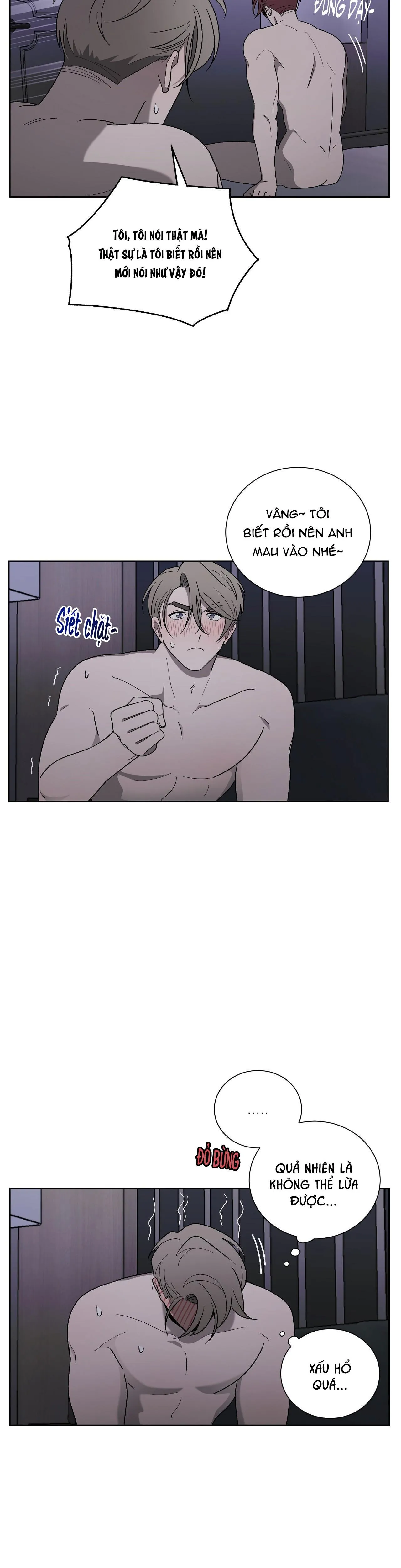 KHI CHIM THƯỚC ĐẾN Chapter 12 Trang 9