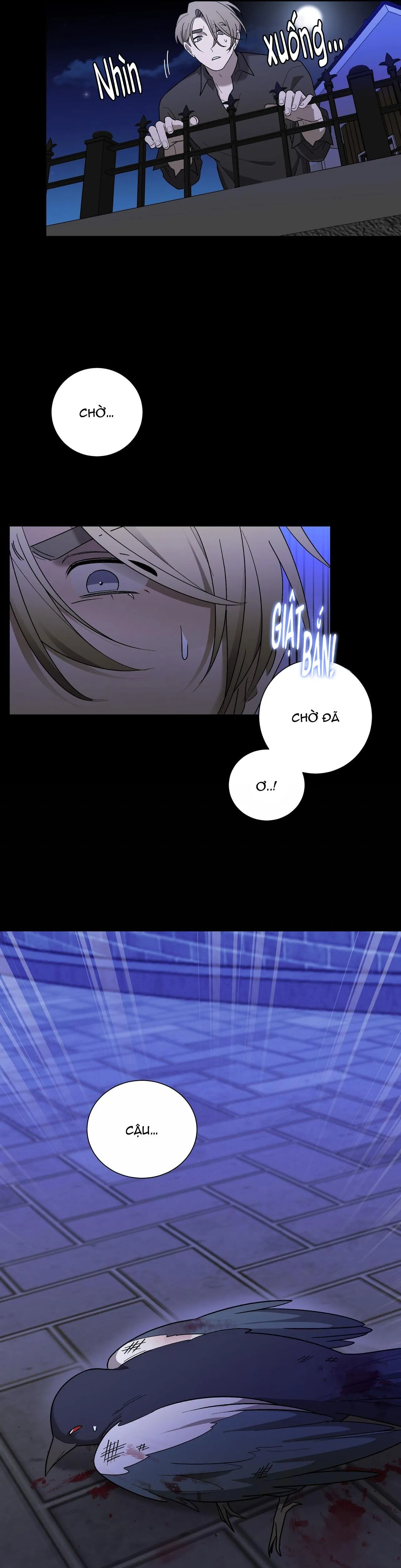 KHI CHIM THƯỚC ĐẾN Chapter 12 Trang 25