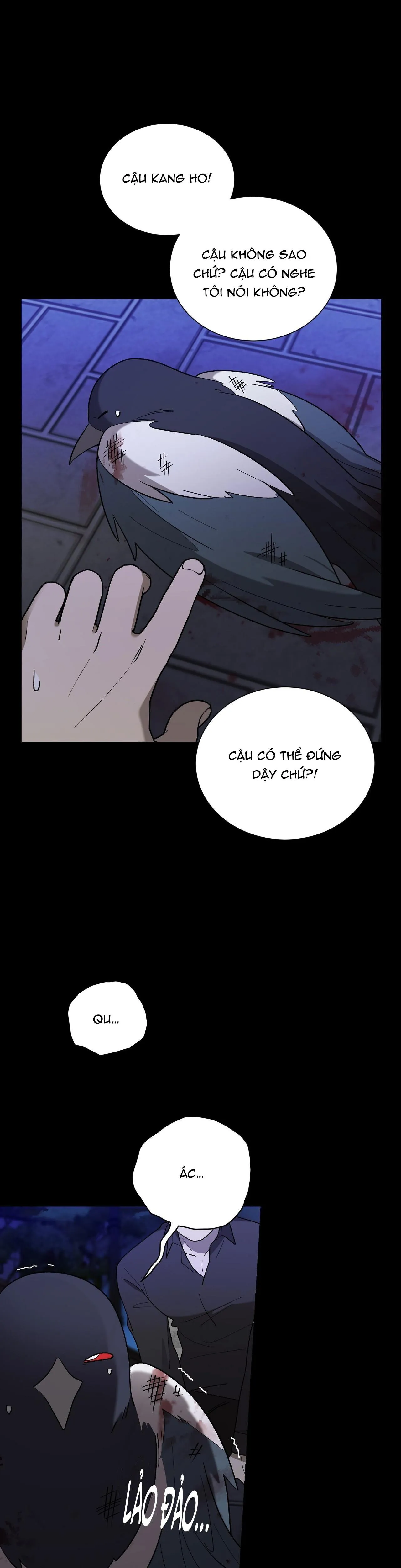 KHI CHIM THƯỚC ĐẾN Chapter 12 Trang 29