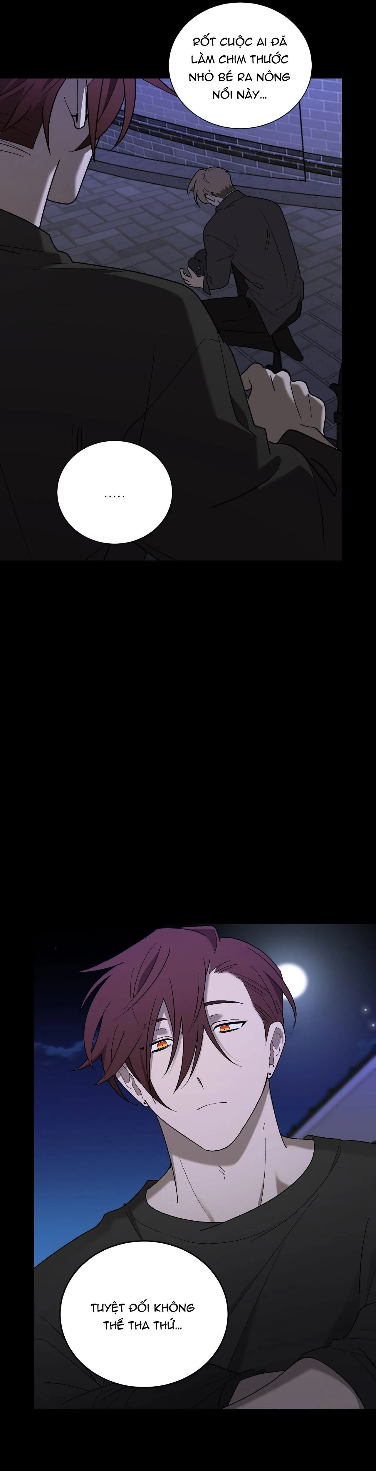 KHI CHIM THƯỚC ĐẾN Chapter 12 Trang 31