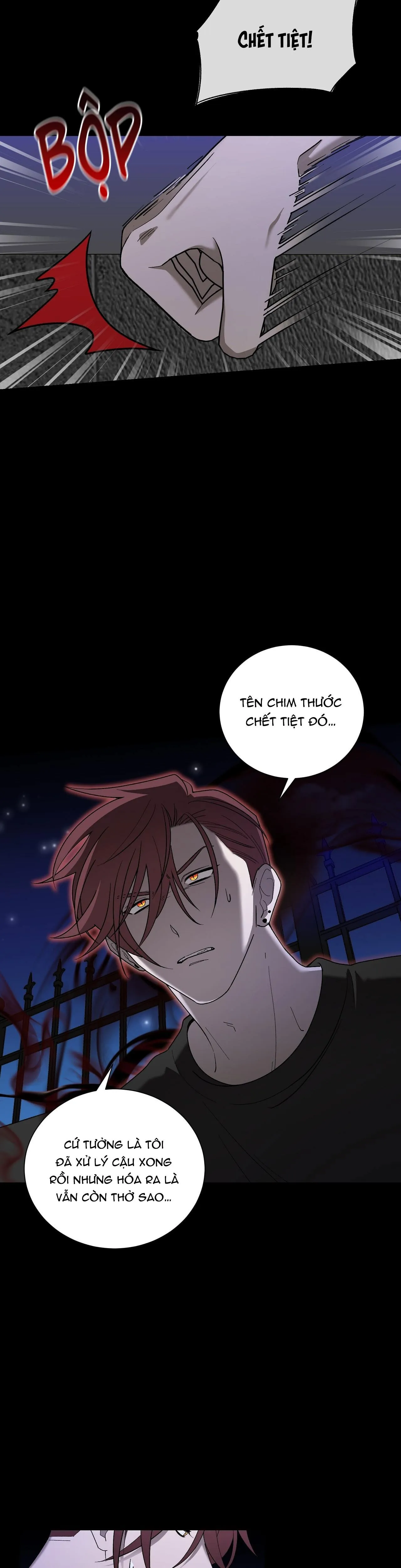 KHI CHIM THƯỚC ĐẾN Chapter 12 Trang 36