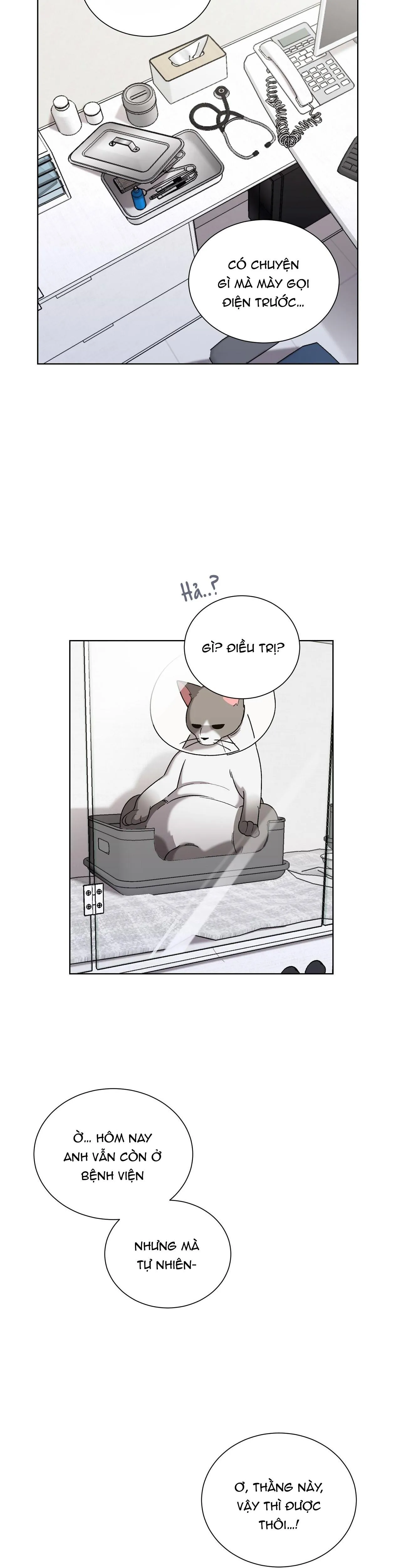 KHI CHIM THƯỚC ĐẾN Chapter 12 Trang 40