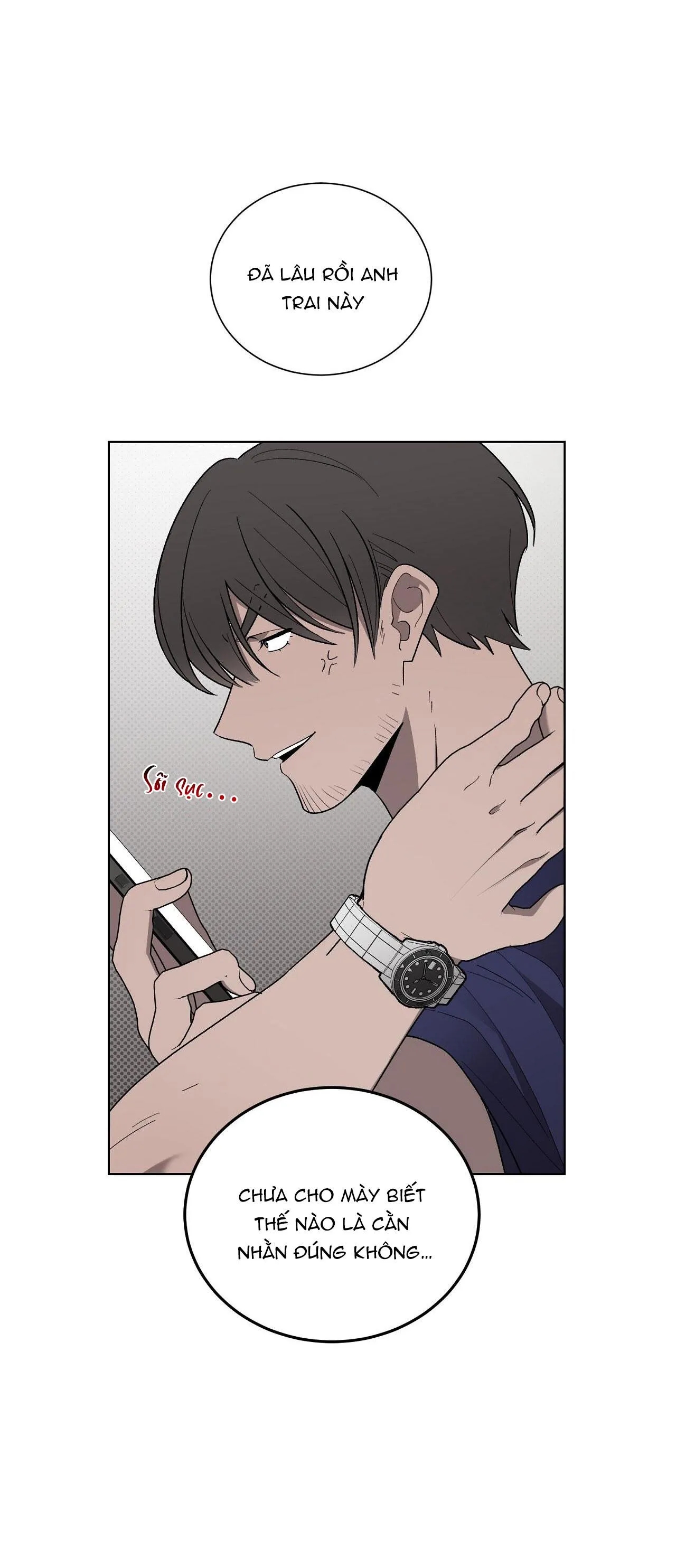 KHI CHIM THƯỚC ĐẾN Chapter 13 Trang 4