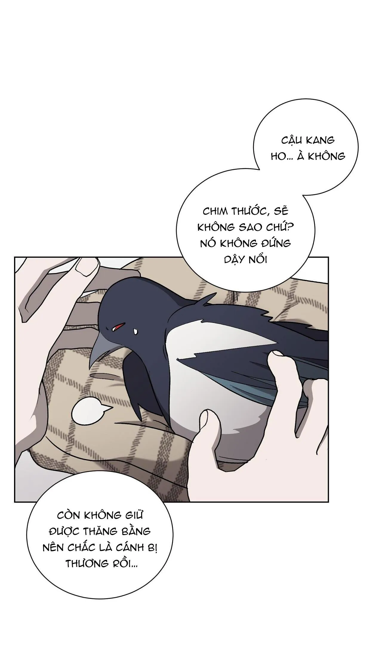 KHI CHIM THƯỚC ĐẾN Chapter 13 Trang 9