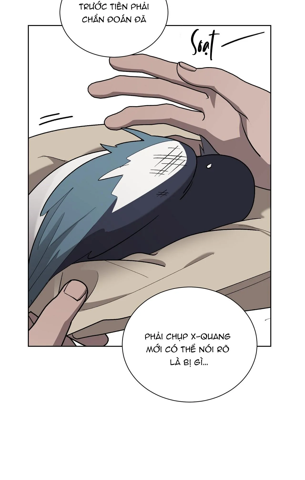 KHI CHIM THƯỚC ĐẾN Chapter 13 Trang 12