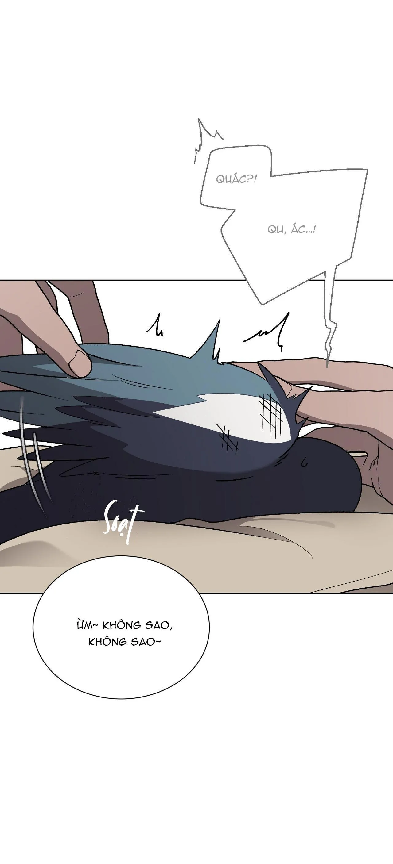 KHI CHIM THƯỚC ĐẾN Chapter 13 Trang 13