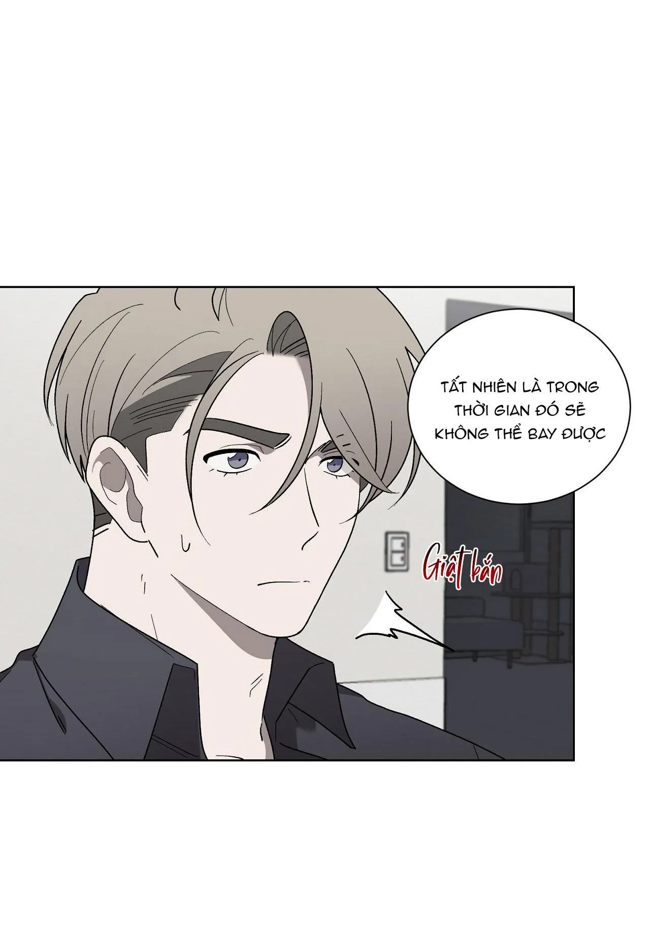 KHI CHIM THƯỚC ĐẾN Chapter 13 Trang 15