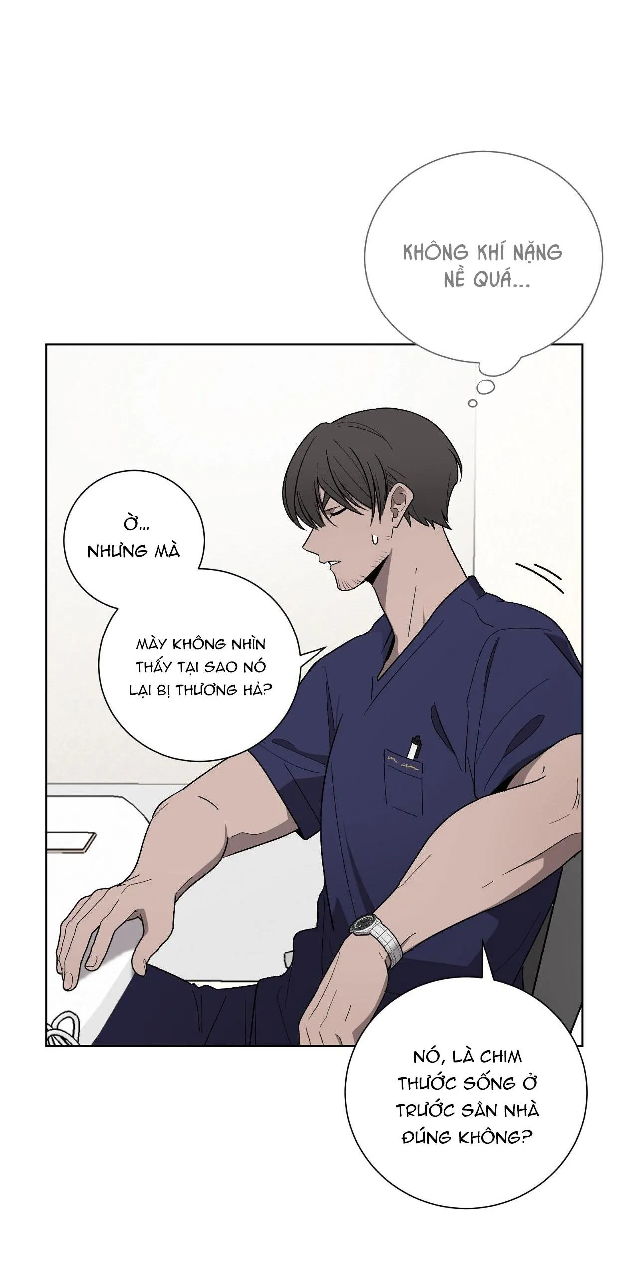 KHI CHIM THƯỚC ĐẾN Chapter 13 Trang 18