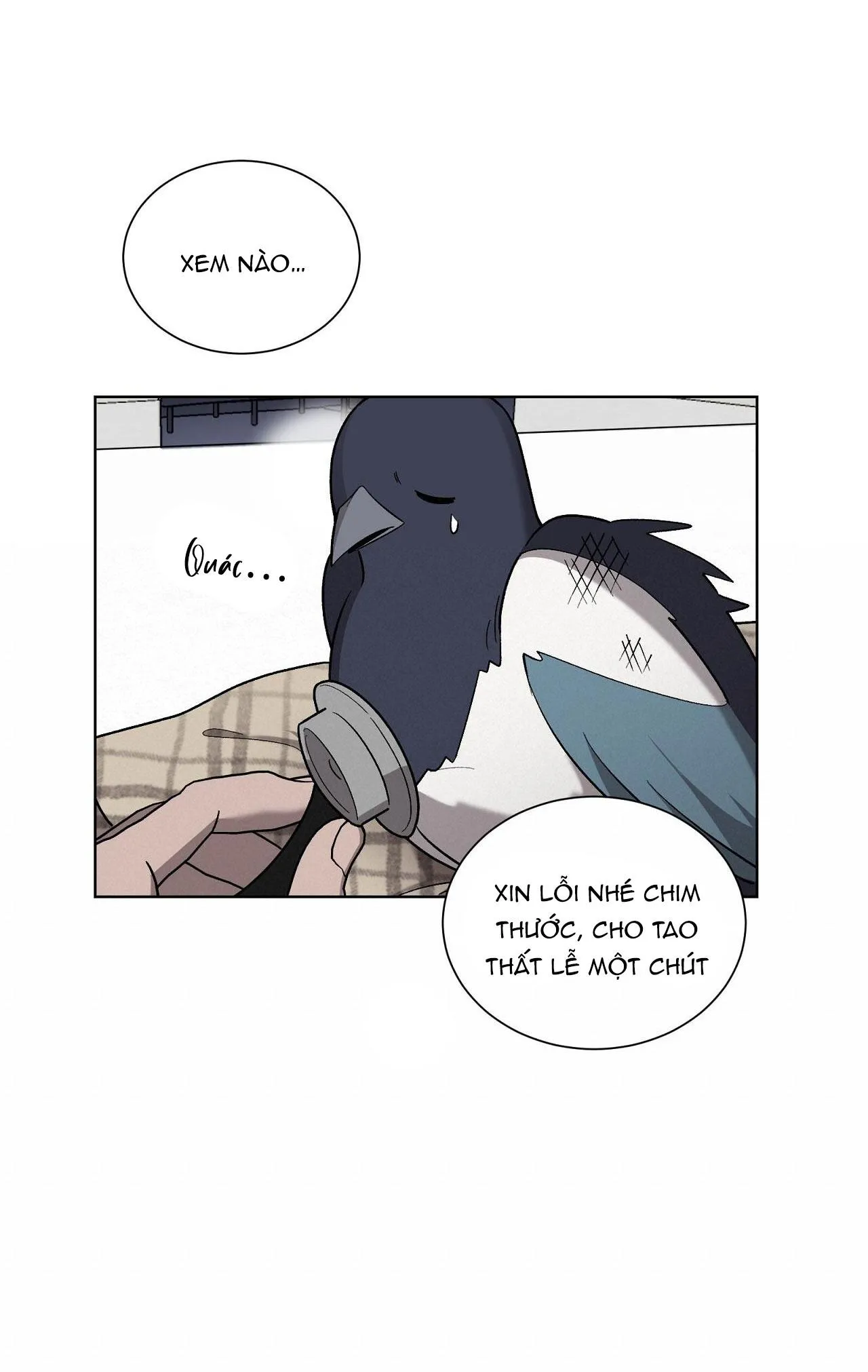 KHI CHIM THƯỚC ĐẾN Chapter 13 Trang 22