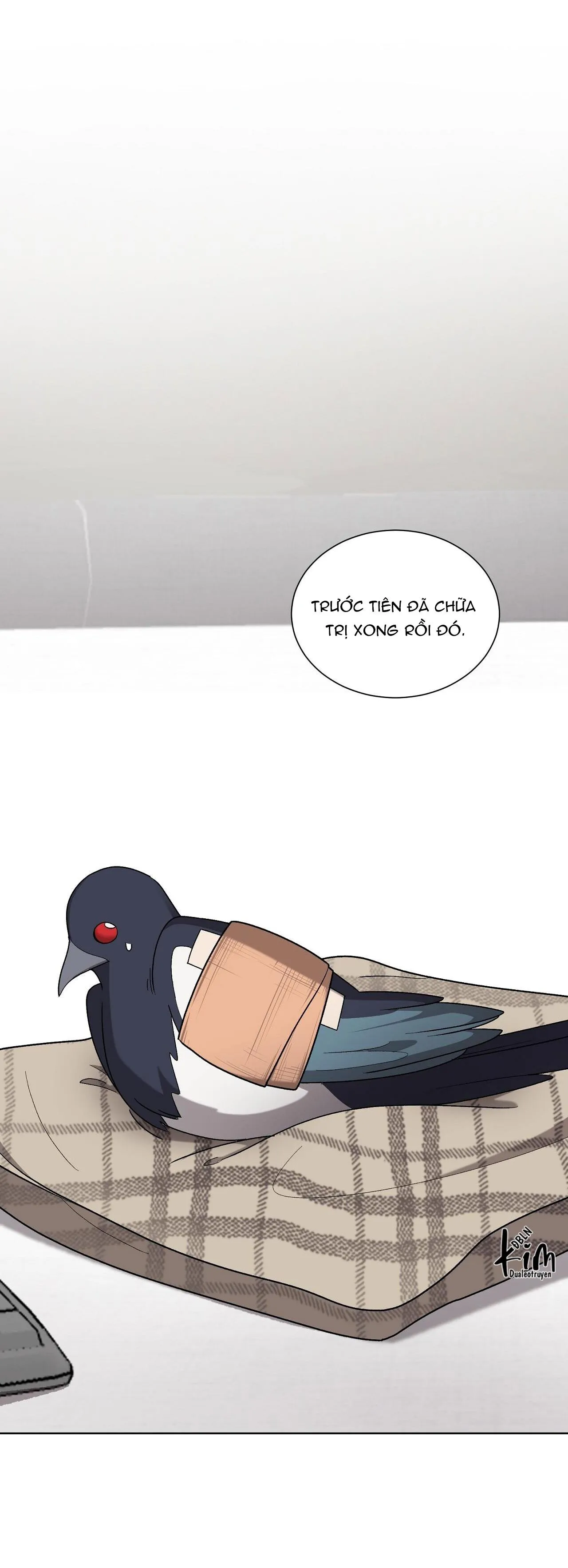 KHI CHIM THƯỚC ĐẾN Chapter 13 Trang 24