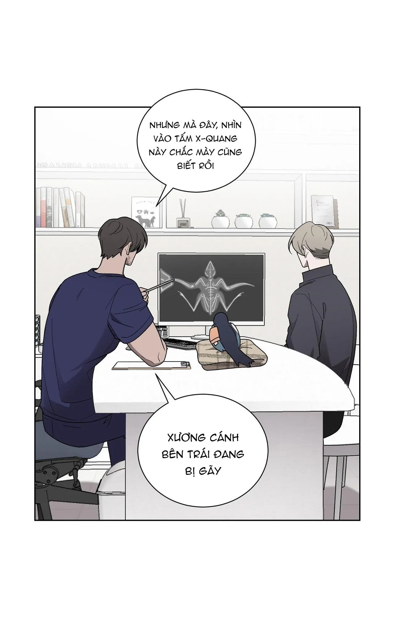 KHI CHIM THƯỚC ĐẾN Chapter 13 Trang 26