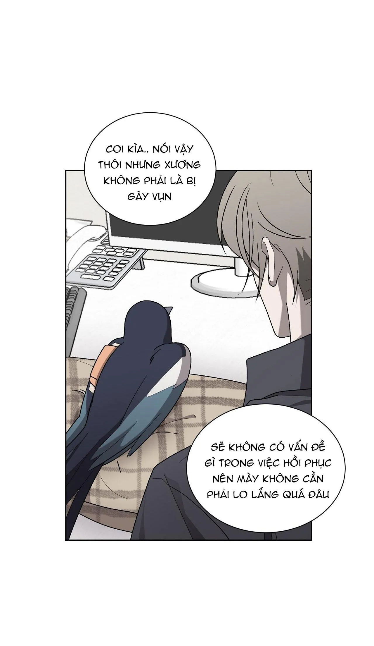 KHI CHIM THƯỚC ĐẾN Chapter 13 Trang 28