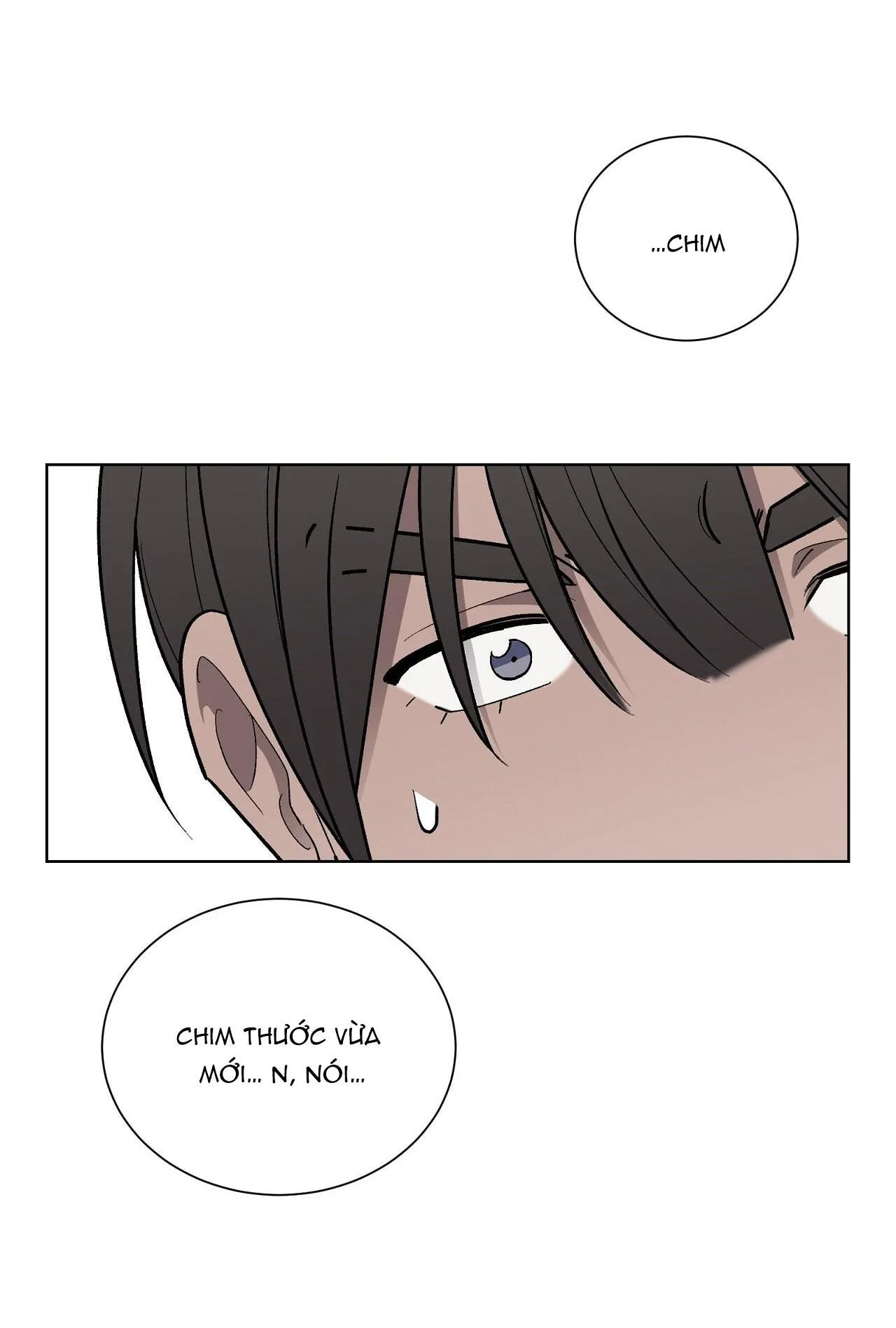 KHI CHIM THƯỚC ĐẾN Chapter 13 Trang 36