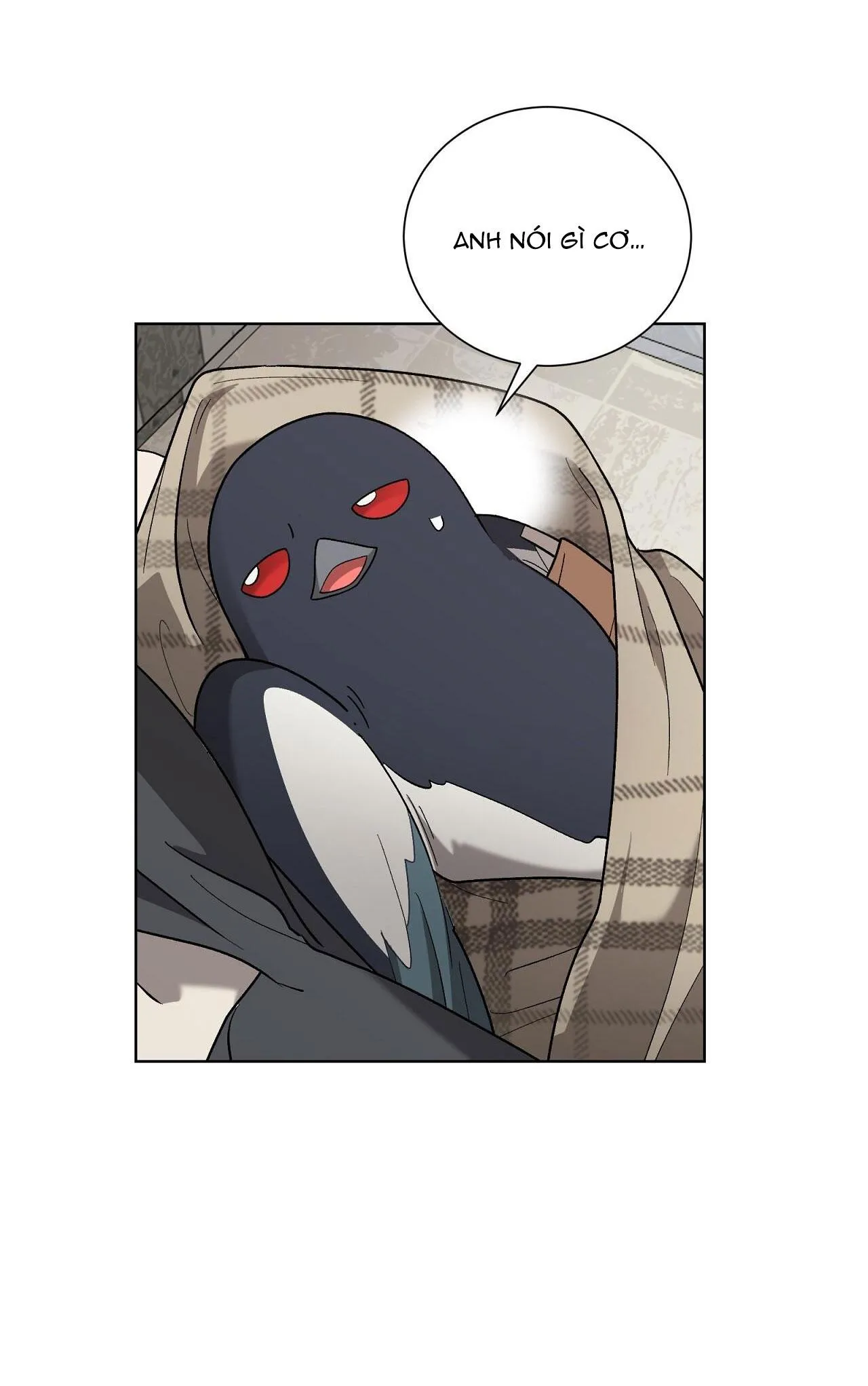 KHI CHIM THƯỚC ĐẾN Chapter 13 Trang 46