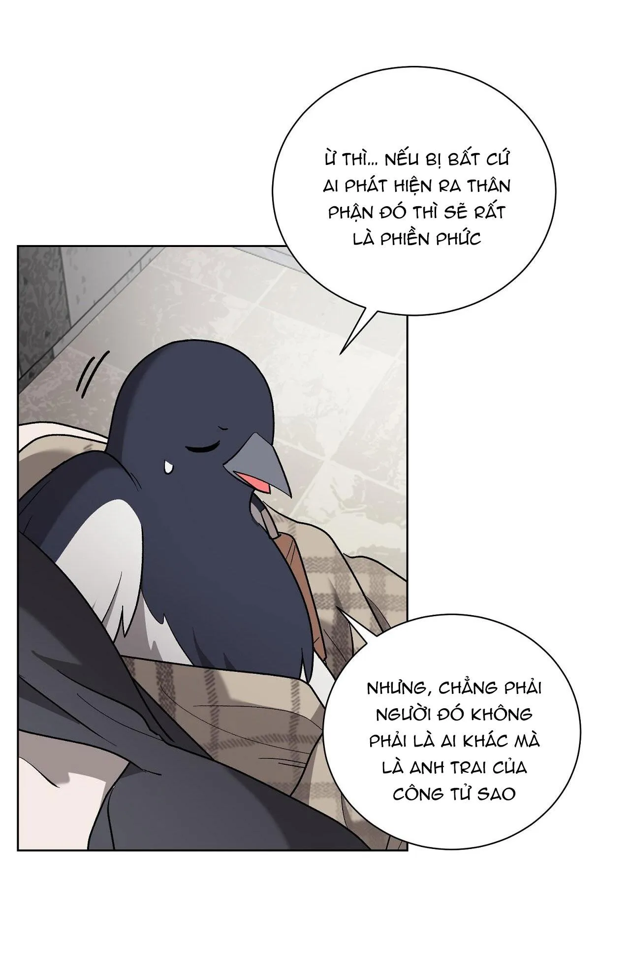 KHI CHIM THƯỚC ĐẾN Chapter 13 Trang 49