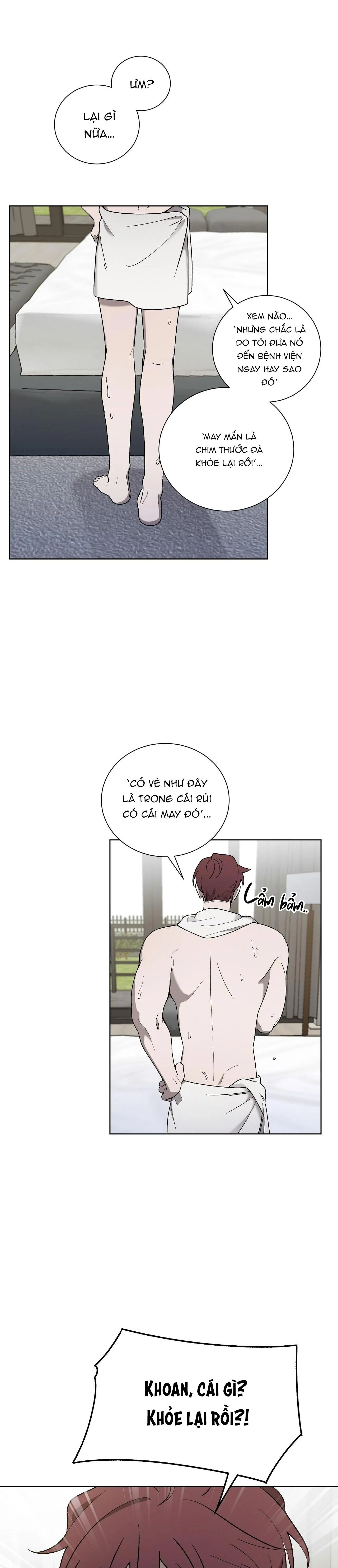 KHI CHIM THƯỚC ĐẾN Chapter 14 Trang 5