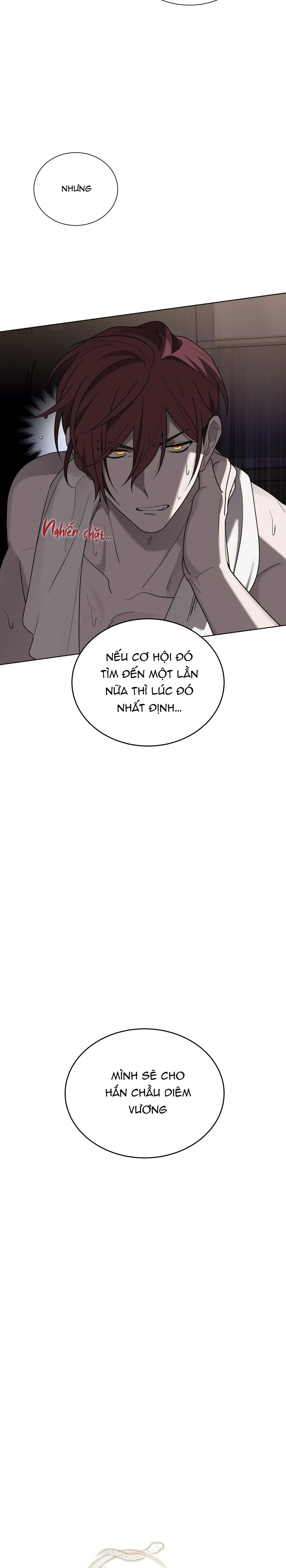 KHI CHIM THƯỚC ĐẾN Chapter 14 Trang 7