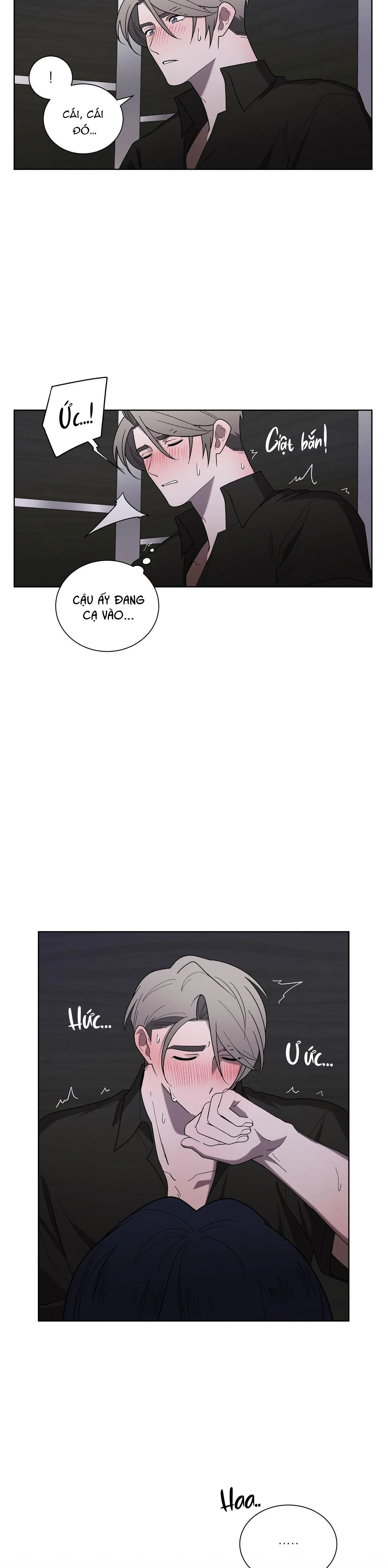 KHI CHIM THƯỚC ĐẾN Chapter 16 Trang 20