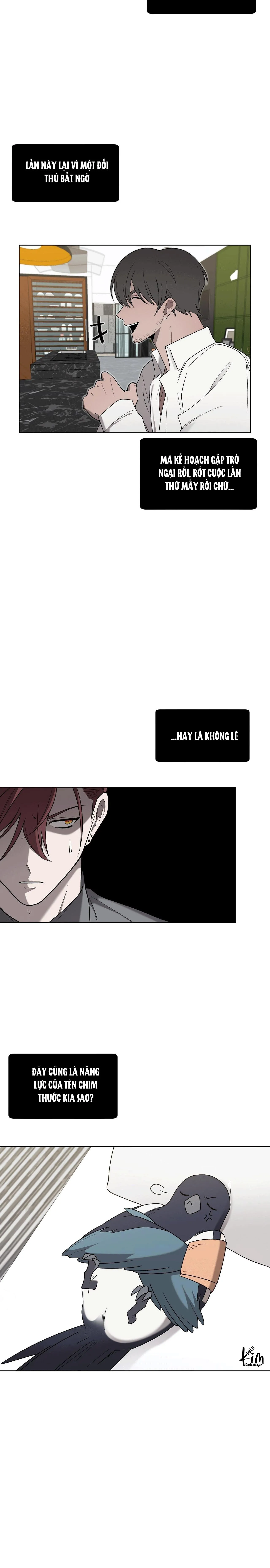 KHI CHIM THƯỚC ĐẾN Chapter 18 Trang 4