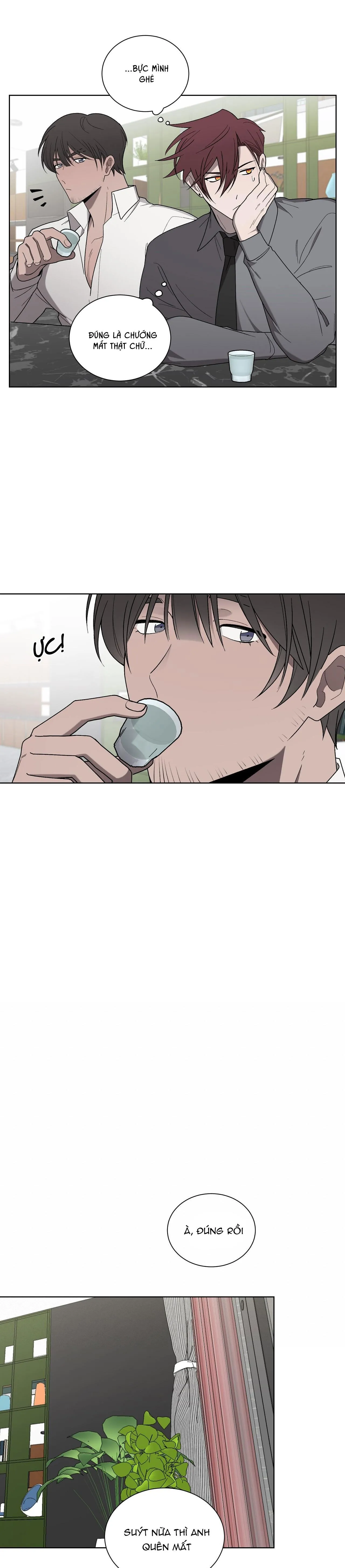 KHI CHIM THƯỚC ĐẾN Chapter 18 Trang 5