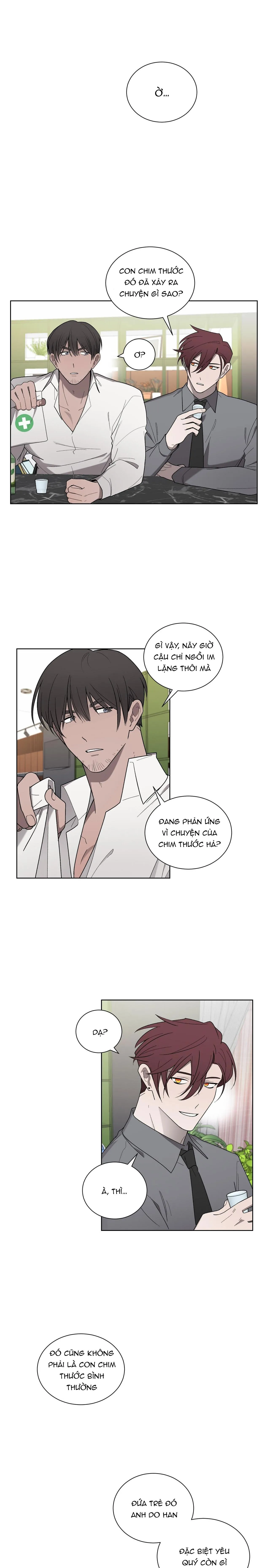 KHI CHIM THƯỚC ĐẾN Chapter 18 Trang 10