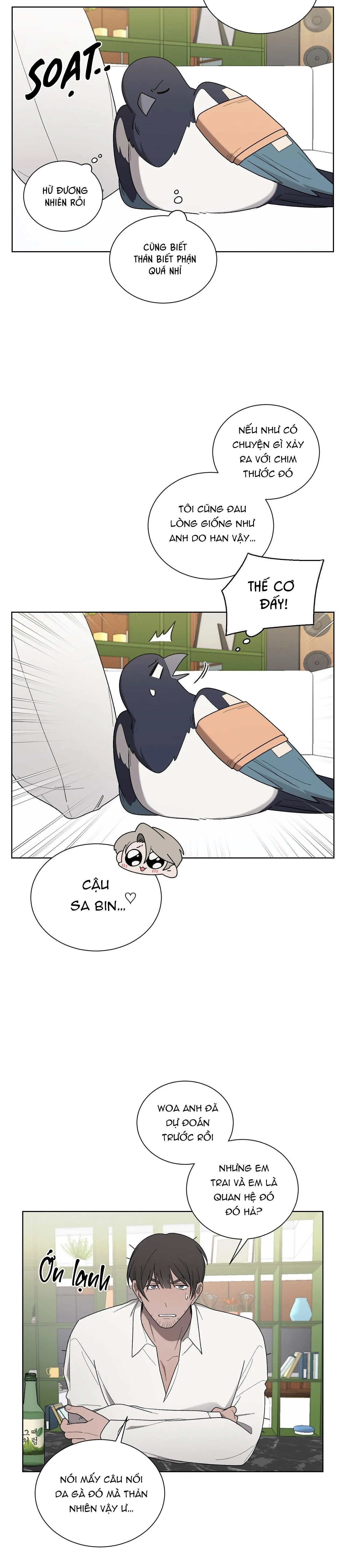 KHI CHIM THƯỚC ĐẾN Chapter 18 Trang 11