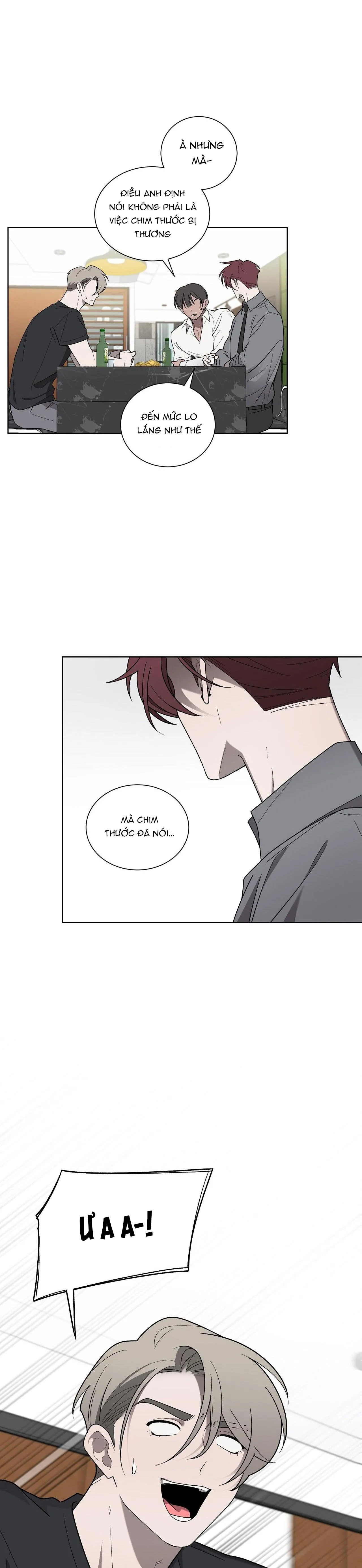 KHI CHIM THƯỚC ĐẾN Chapter 18 Trang 12