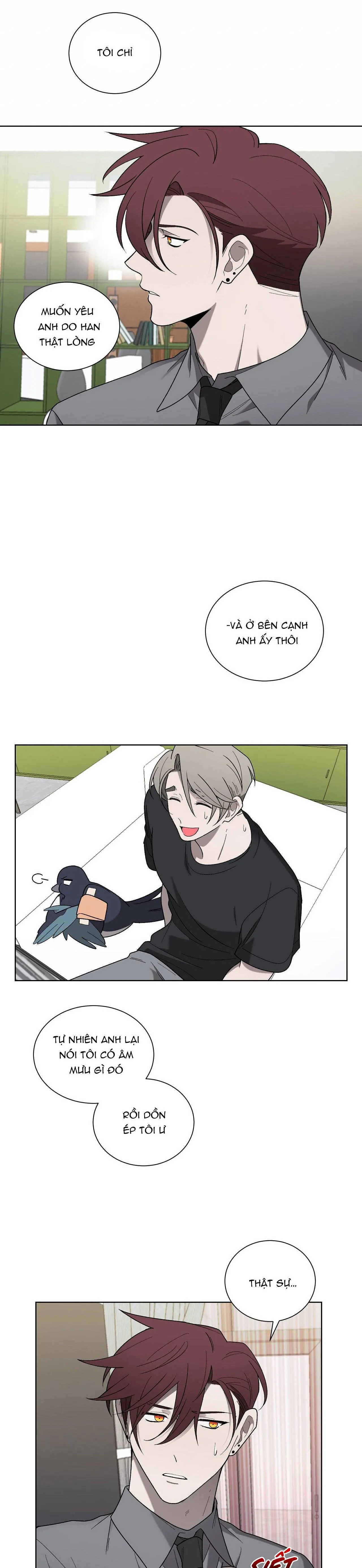 KHI CHIM THƯỚC ĐẾN Chapter 18 Trang 21