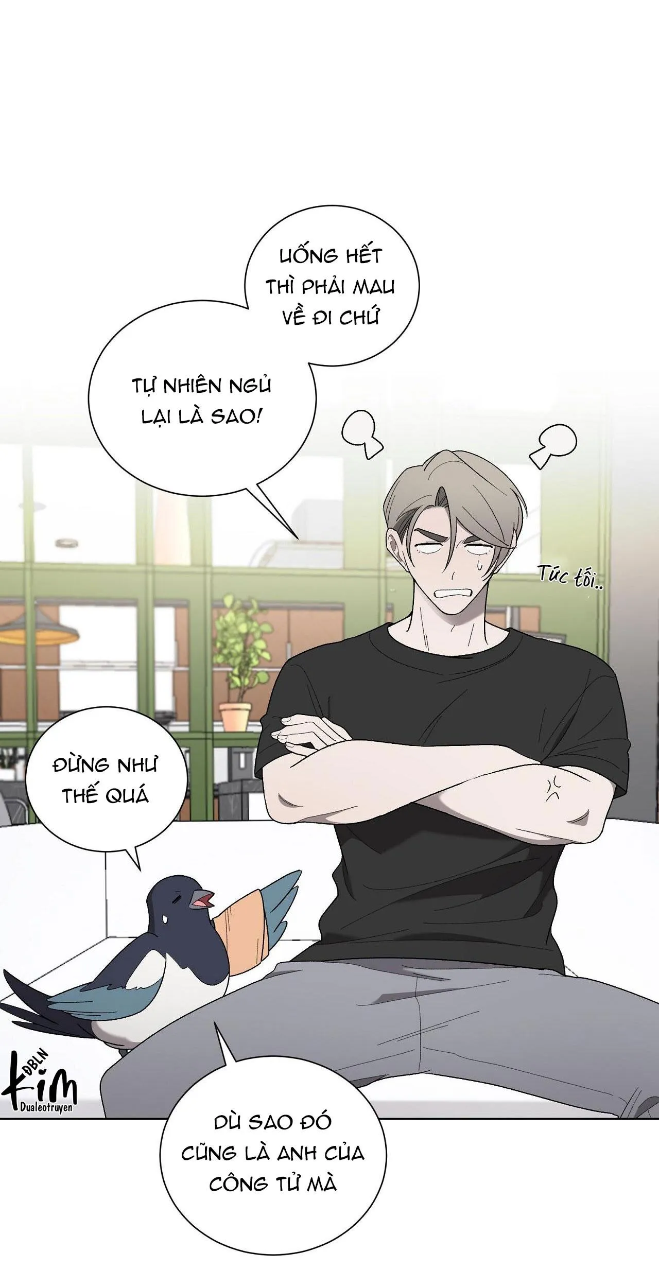 KHI CHIM THƯỚC ĐẾN Chapter 19 Trang 3