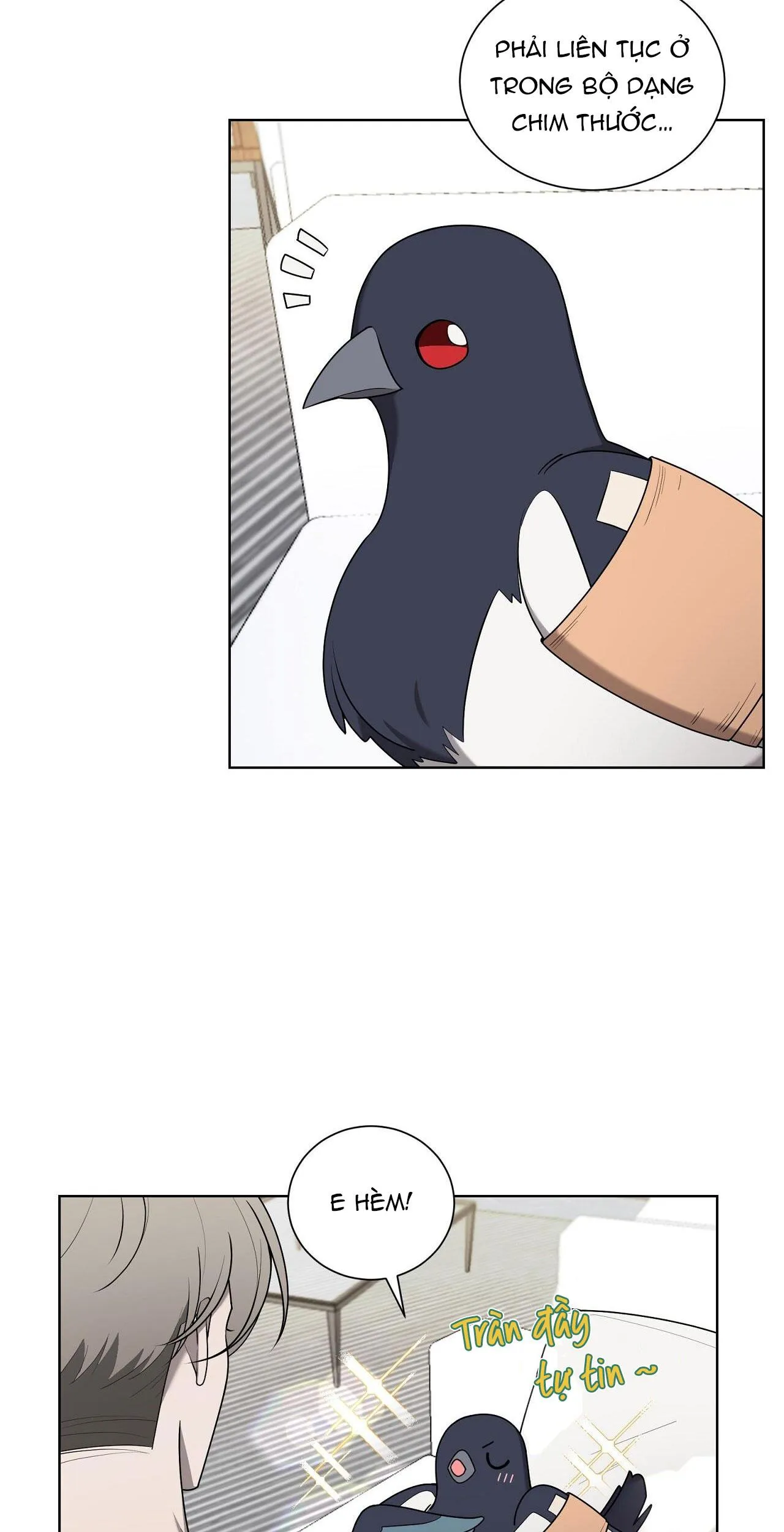 KHI CHIM THƯỚC ĐẾN Chapter 19 Trang 5