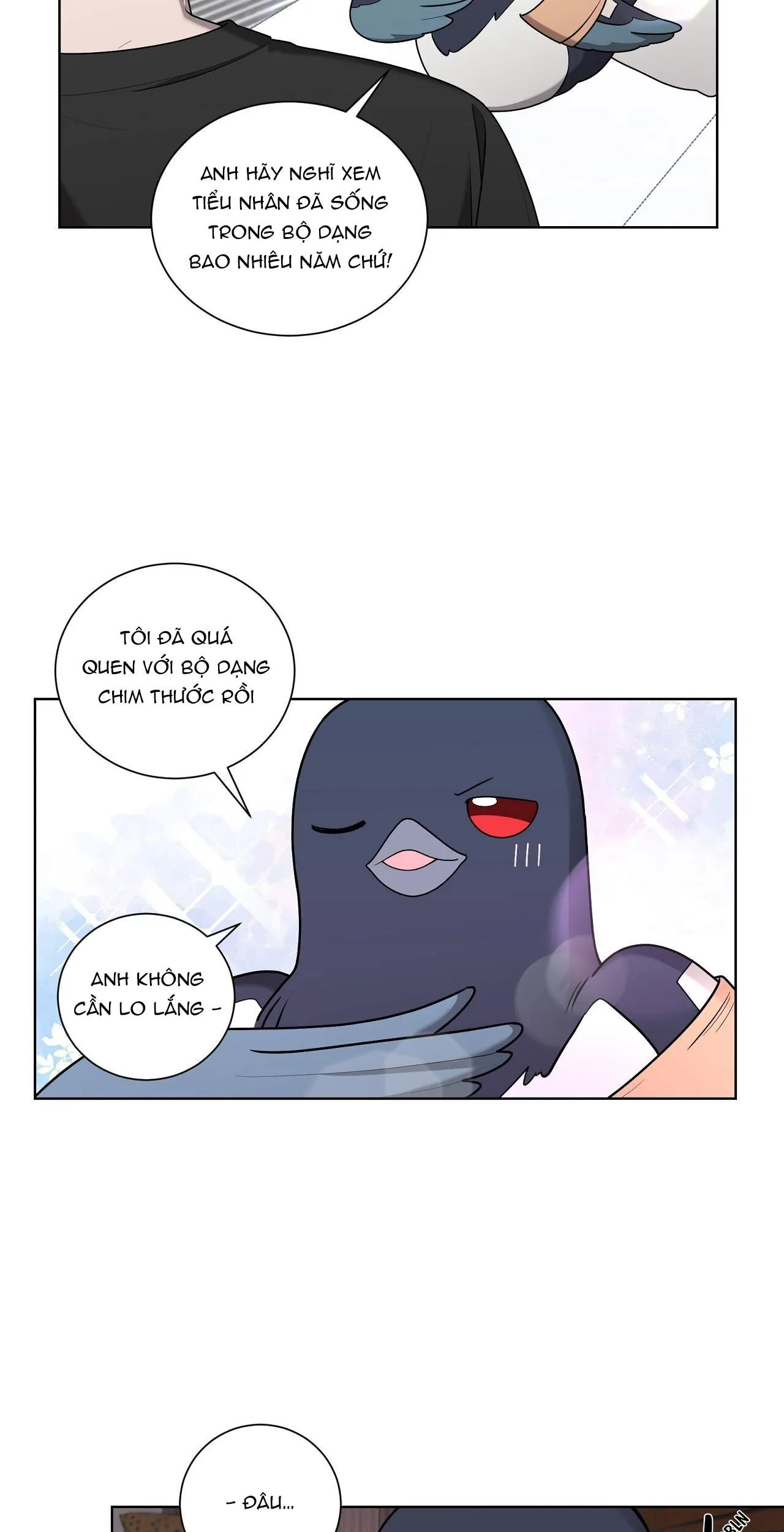 KHI CHIM THƯỚC ĐẾN Chapter 19 Trang 6