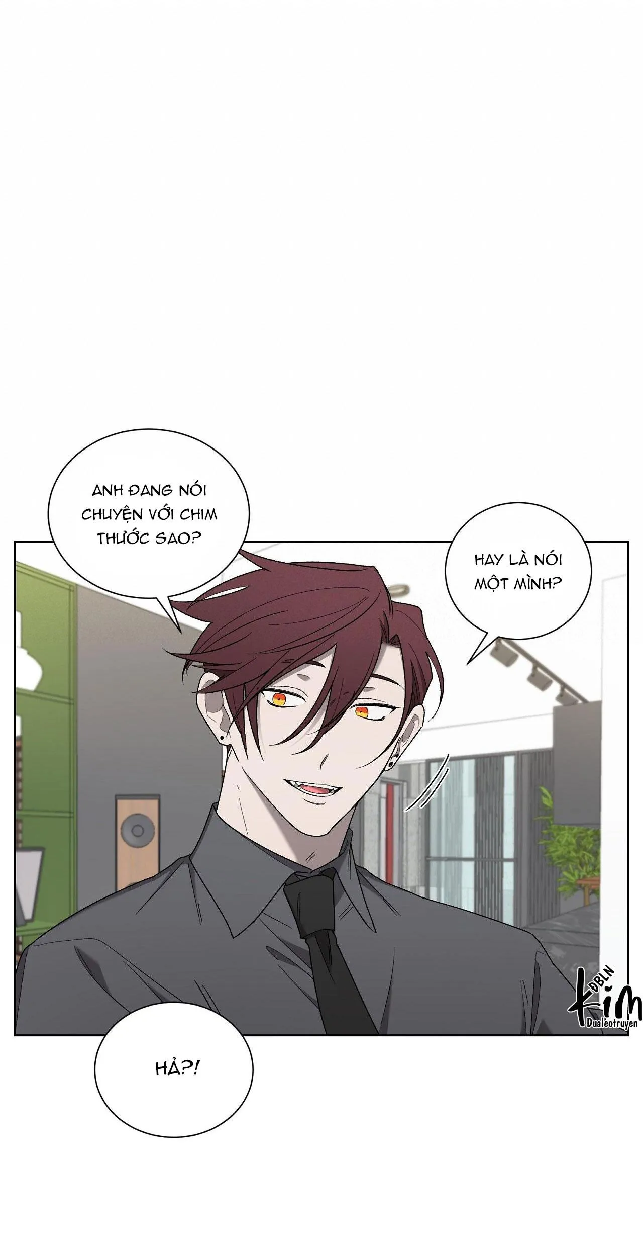 KHI CHIM THƯỚC ĐẾN Chapter 19 Trang 11