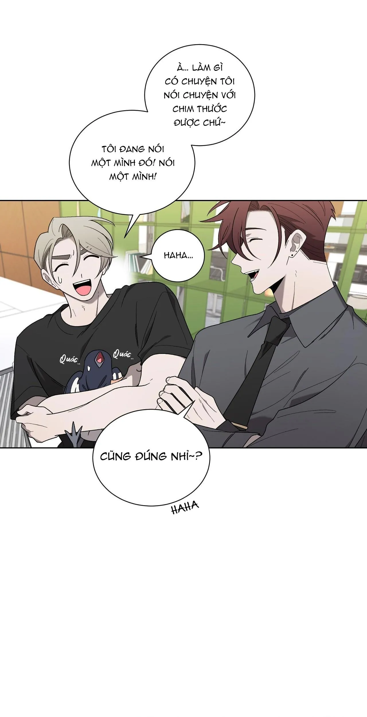 KHI CHIM THƯỚC ĐẾN Chapter 19 Trang 12