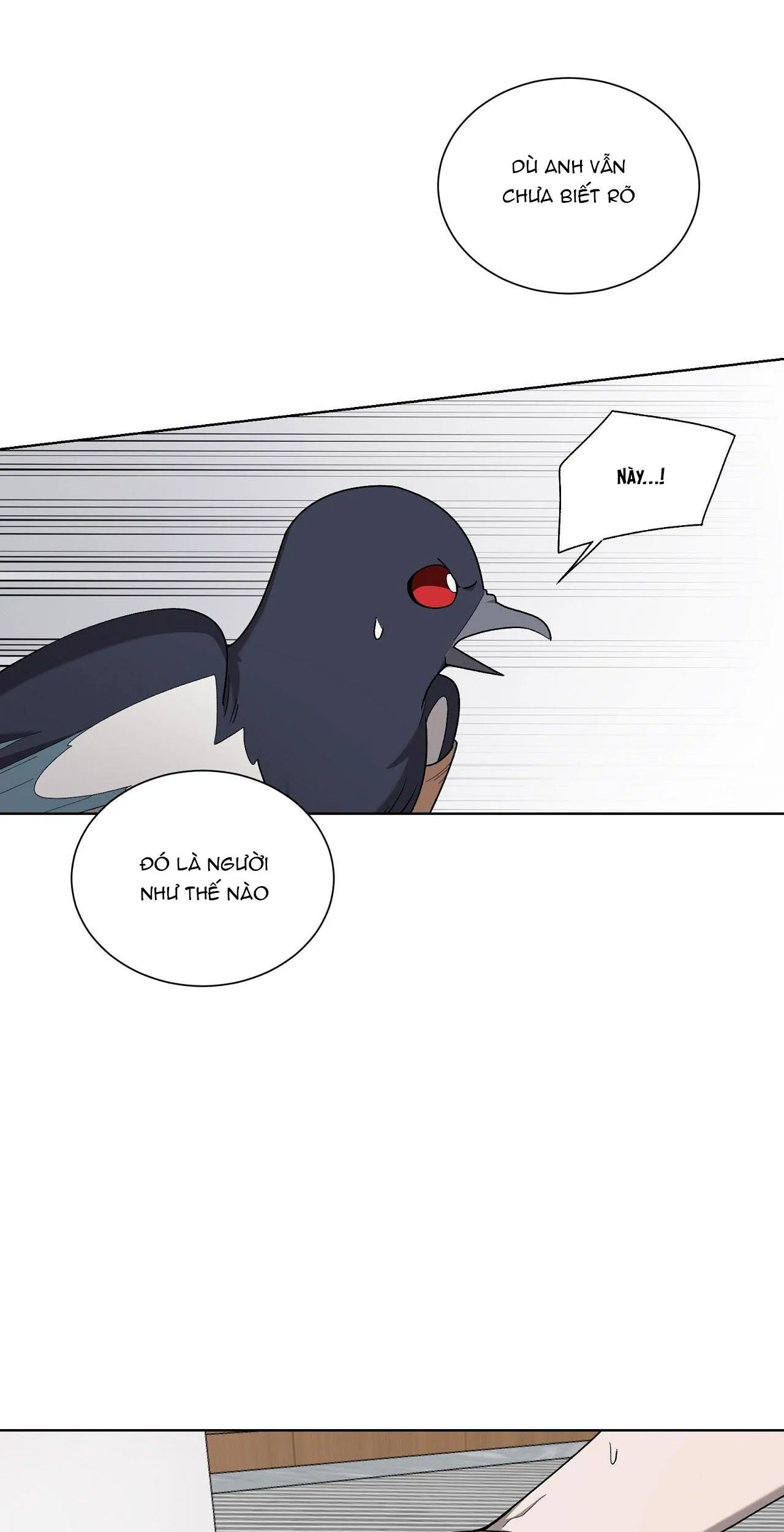 KHI CHIM THƯỚC ĐẾN Chapter 19 Trang 47