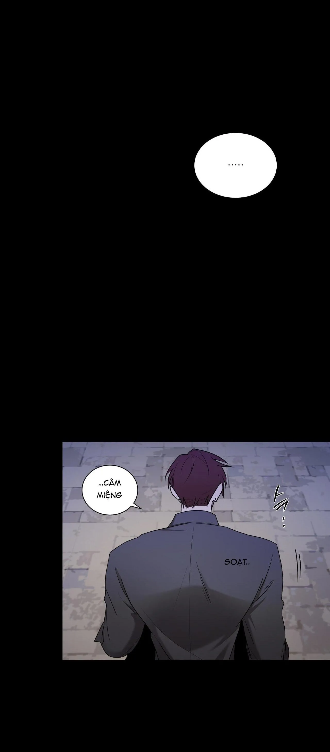 KHI CHIM THƯỚC ĐẾN Chapter 22 Trang 14