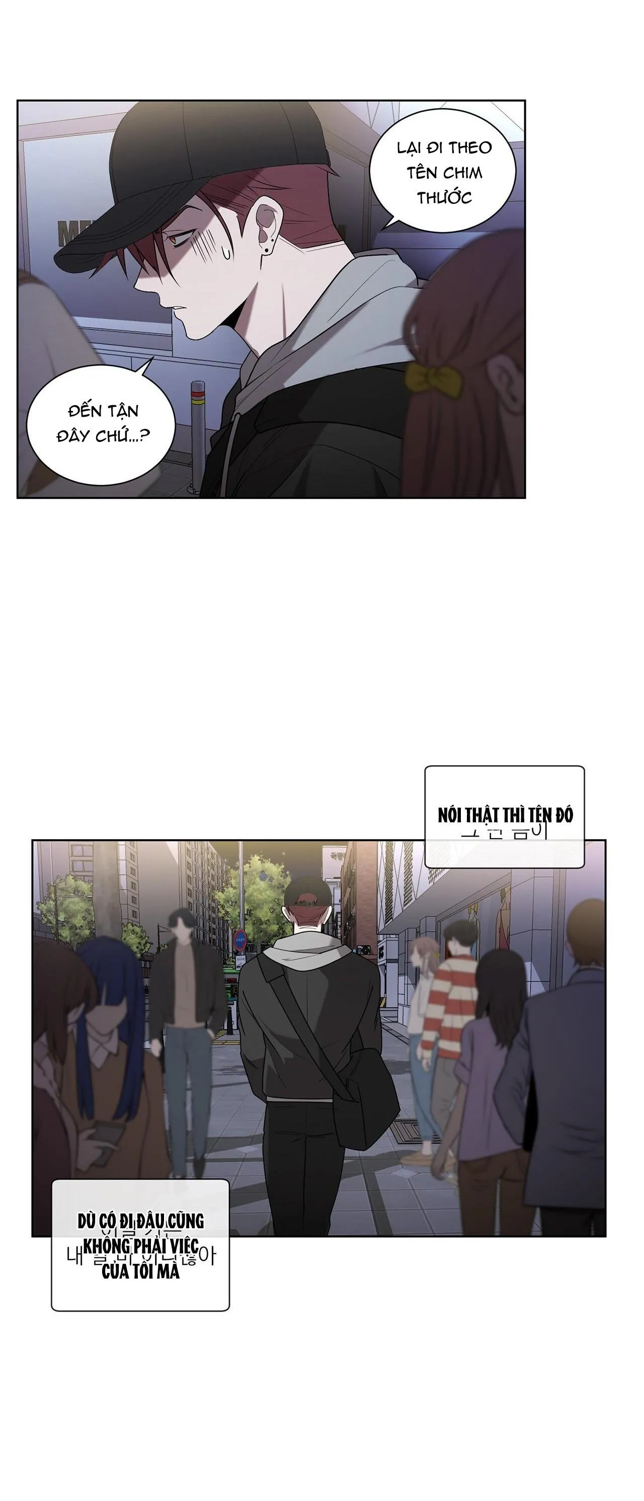 KHI CHIM THƯỚC ĐẾN Chapter 25 Trang 34