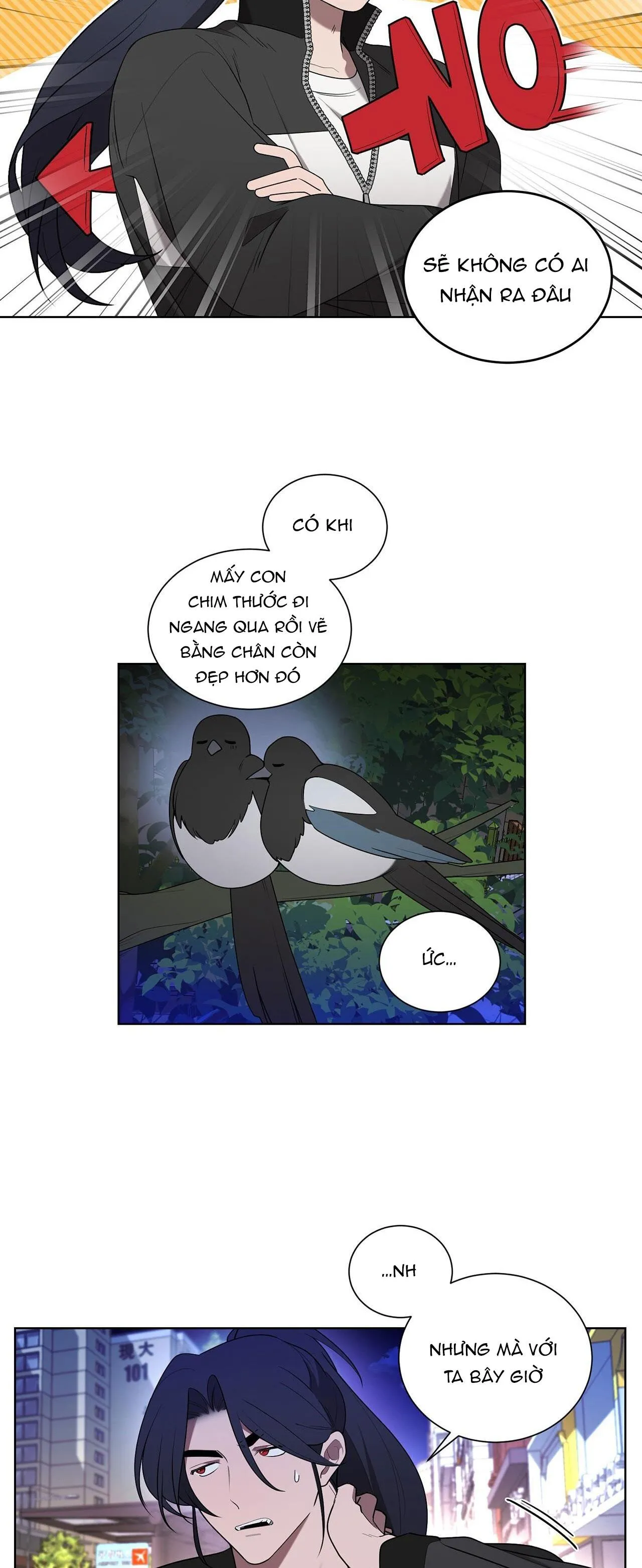 KHI CHIM THƯỚC ĐẾN Chapter 26 Trang 5