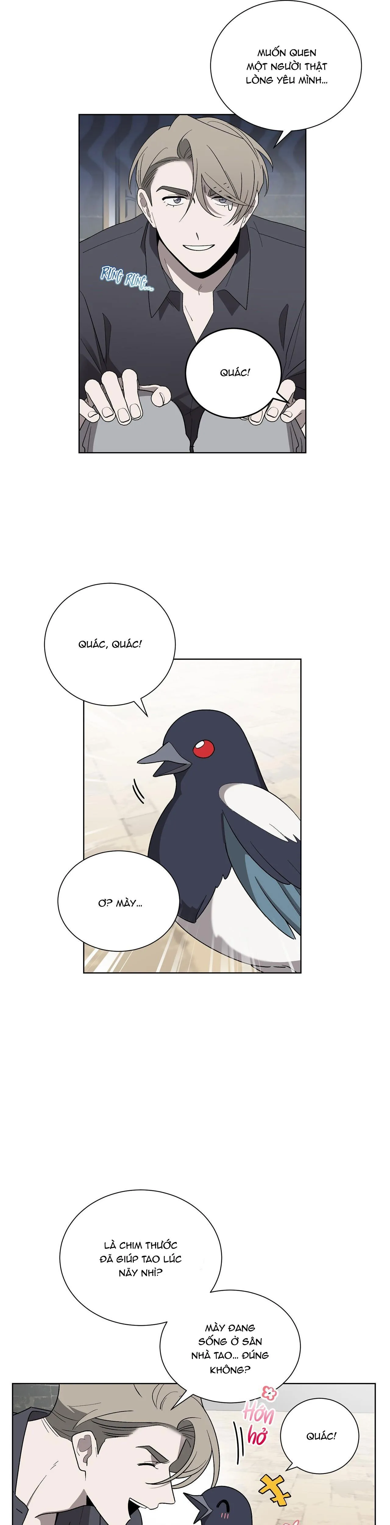 KHI CHIM THƯỚC ĐẾN Chapter 1 Trang 24