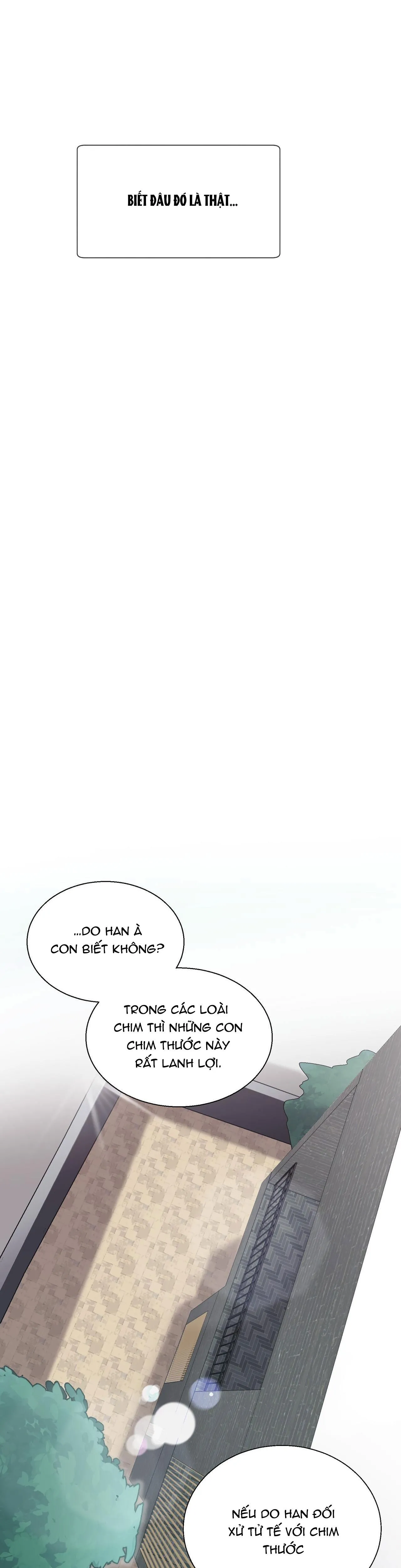 KHI CHIM THƯỚC ĐẾN Chapter 1 Trang 27