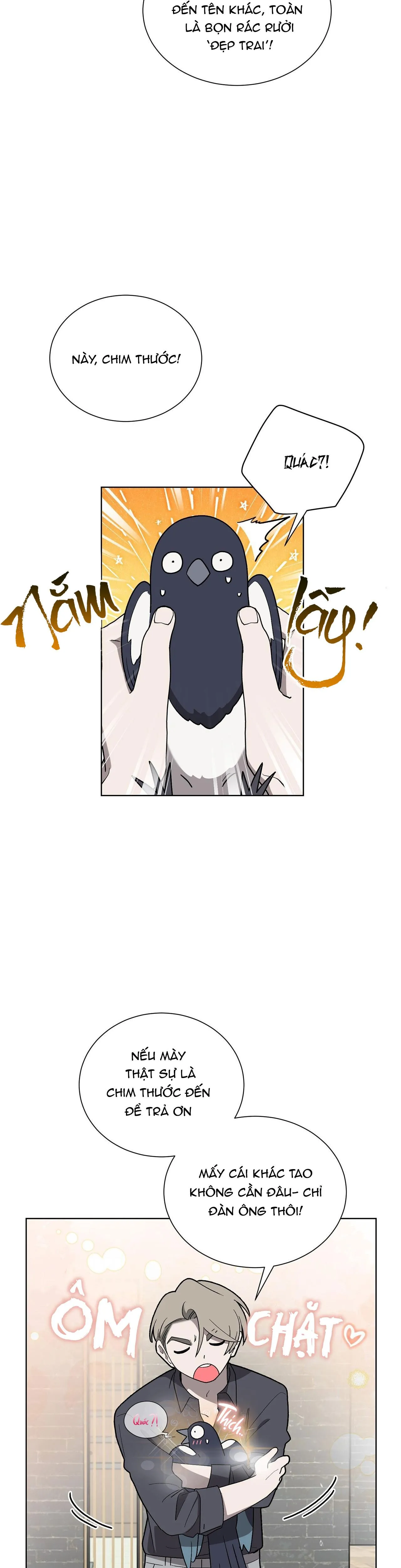KHI CHIM THƯỚC ĐẾN Chapter 1 Trang 32