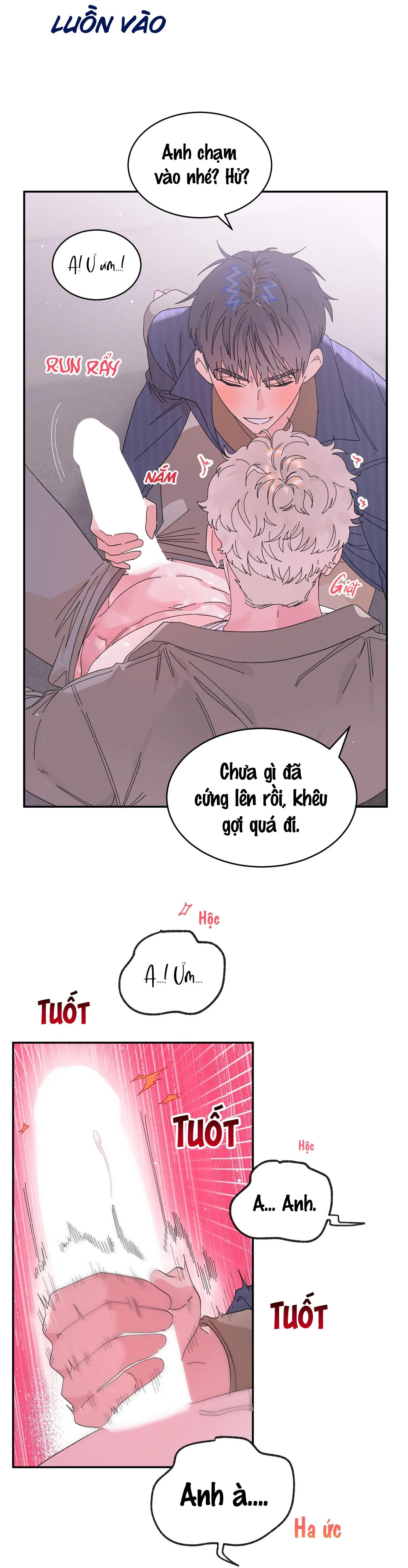 Khi con trym dẫn lối tình yêu Chapter 5 Trang 14