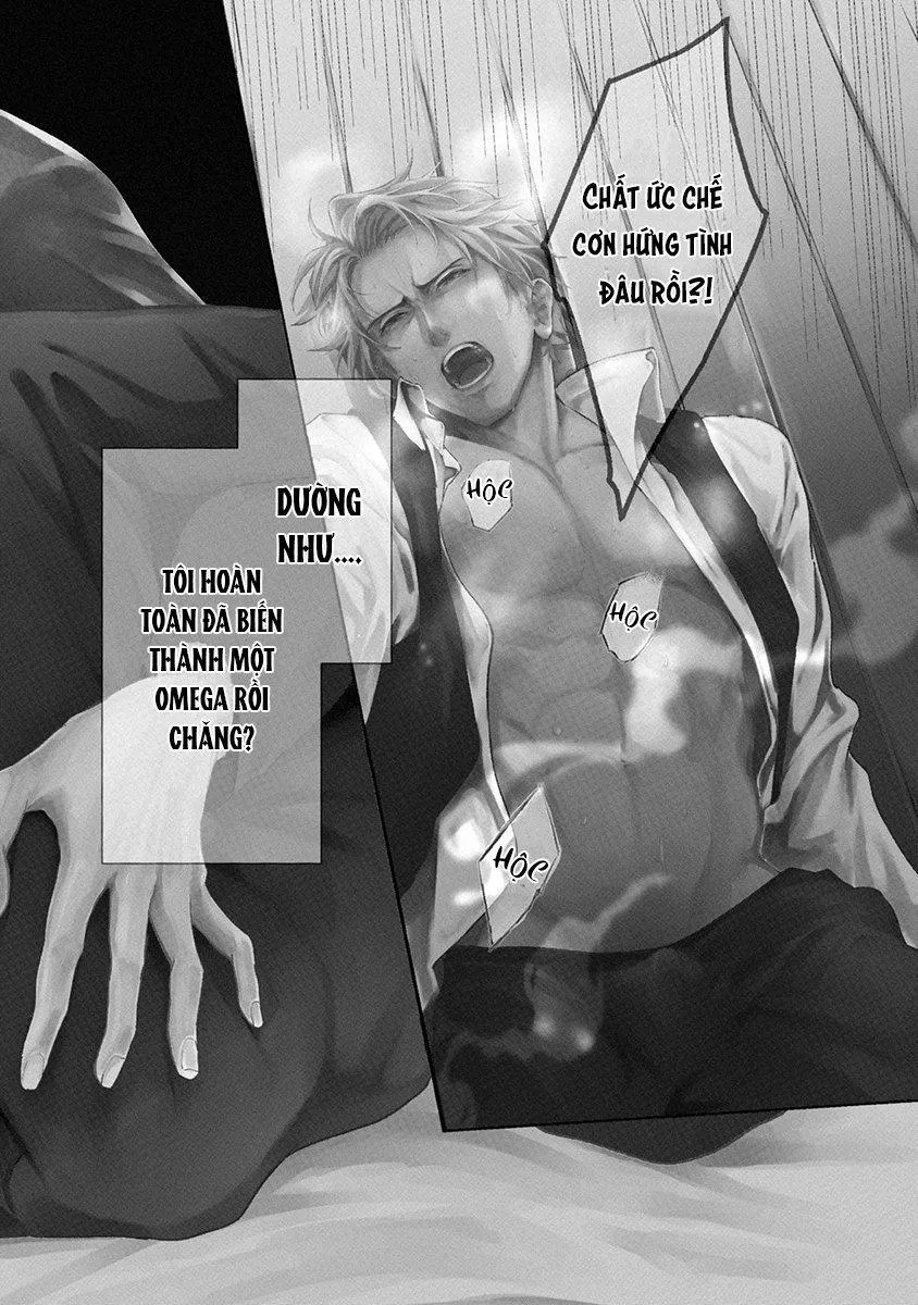 Khi định mệnh nắm giữ hơi thở Chapter 1 Trang 5