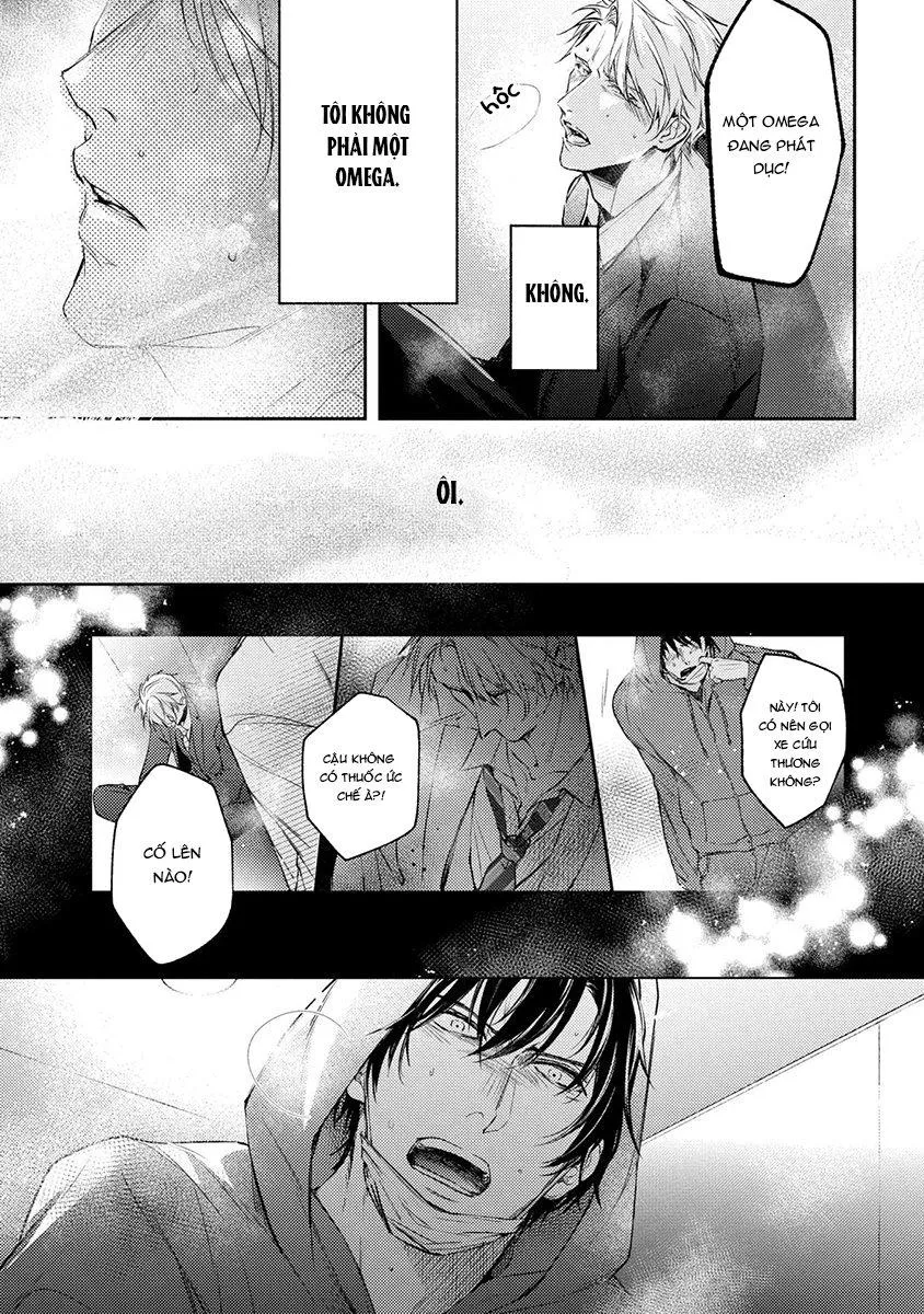 Khi định mệnh nắm giữ hơi thở Chapter 1 Trang 24