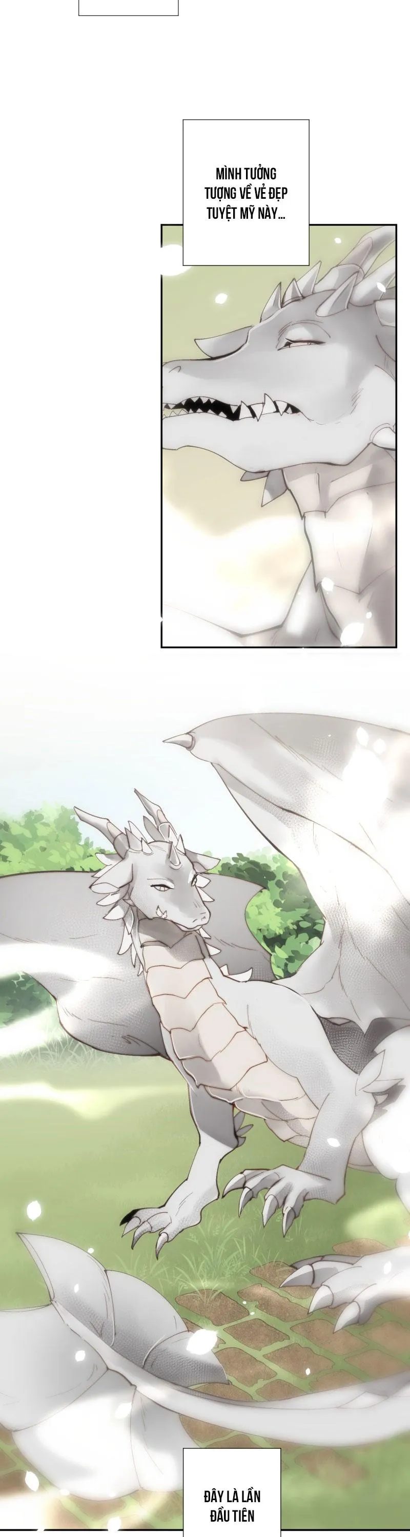 KHI LONG THẦN RƠI VÀO LƯỚI TÌNH Chapter 28 Trang 7