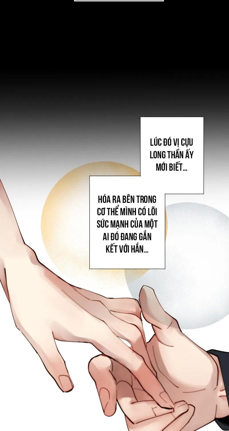 KHI LONG THẦN RƠI VÀO LƯỚI TÌNH Chapter 32 Trang 41