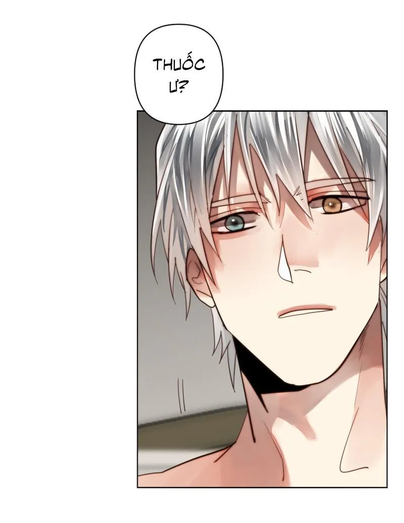 KHI LONG THẦN RƠI VÀO LƯỚI TÌNH Chapter 48 Trang 44