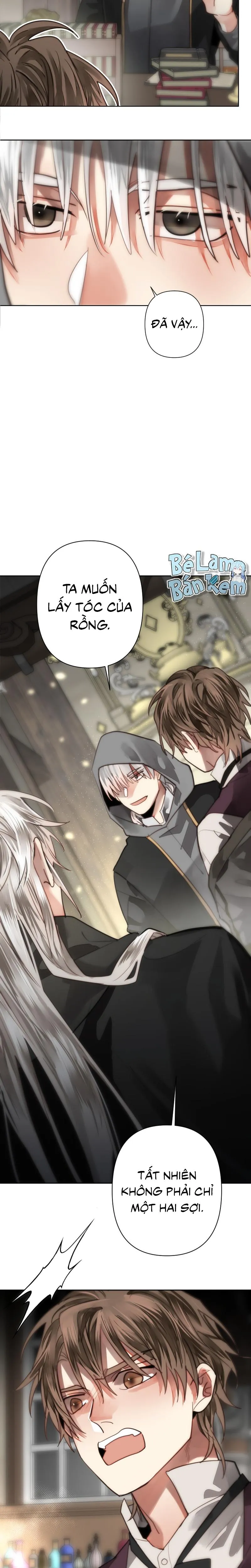 KHI LONG THẦN RƠI VÀO LƯỚI TÌNH Chapter 62 Trang 15