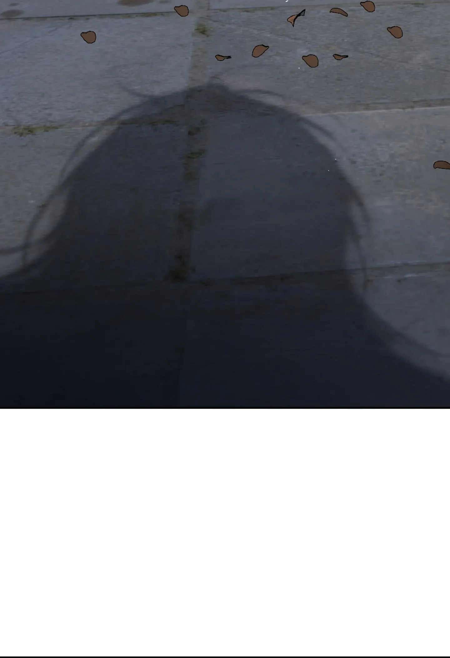 KHI MẶT TRỜI LÓ DẠNG Chapter 4 Trang 11