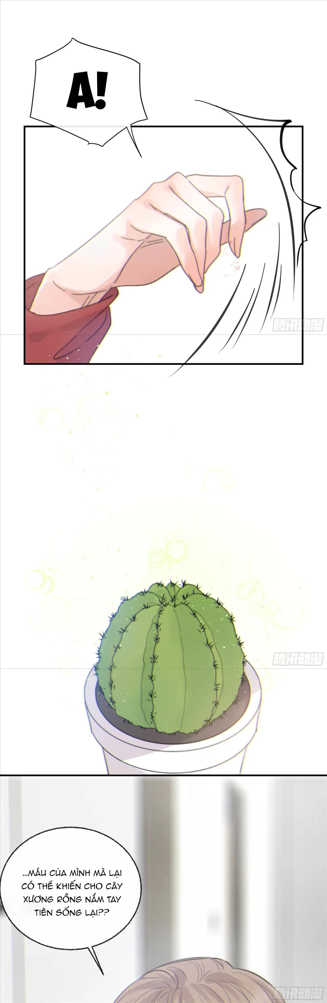 Khi Người Say Giấc Chapter 15 Trang 8