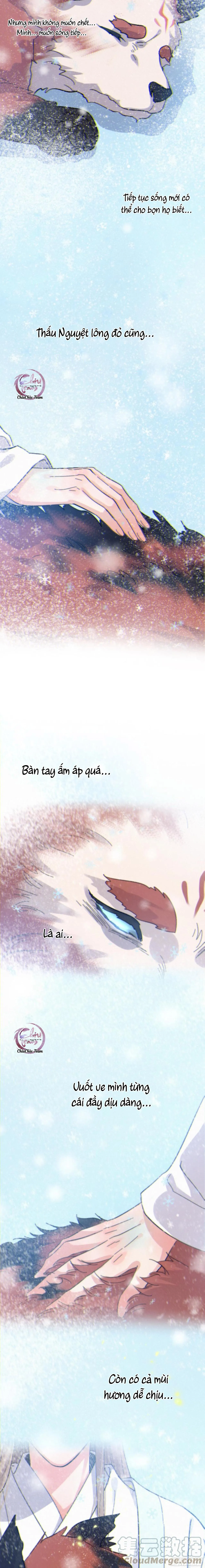 Khi Người Say Giấc Chapter 28 Trang 3